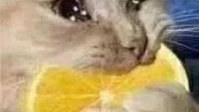 火影许愿夺宝最新爆料,神秘宝藏揭晓,最新爆料揭秘夺宝之路! 第1张 火影许愿夺宝最新爆料,神秘宝藏揭晓,最新爆料揭秘夺宝之路! 第1张