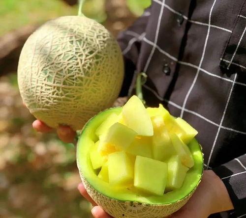 娱乐168吃瓜,揭秘娱乐圈最新吃瓜事件,带你领略明星幕后故事 第1张 娱乐168吃瓜,揭秘娱乐圈最新吃瓜事件,带你领略明星幕后故事 第1张